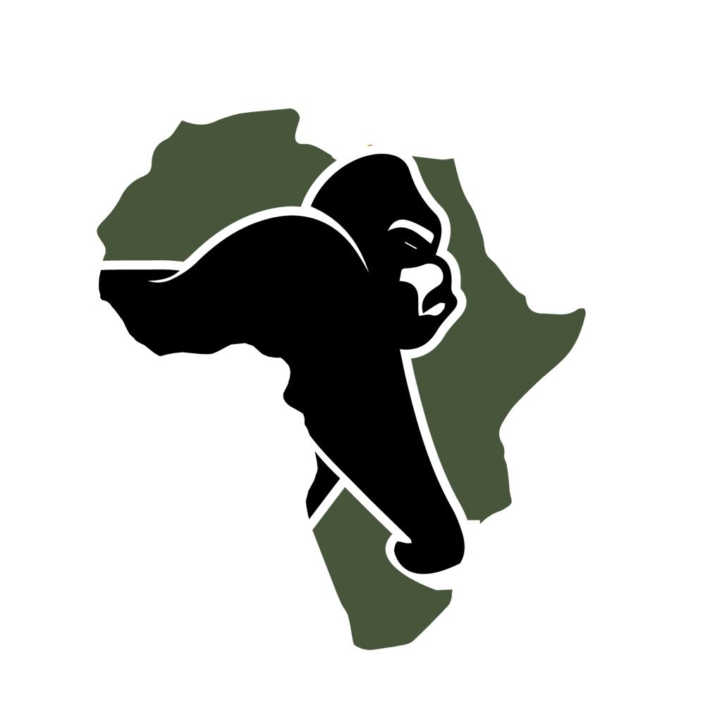 Afrisafaris Tours
