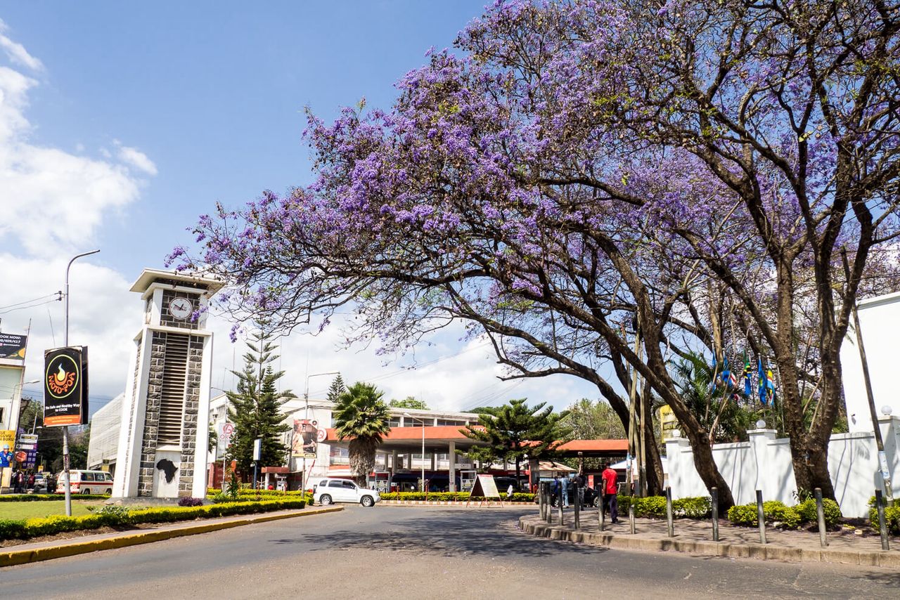 1 Day Arusha City Tour
